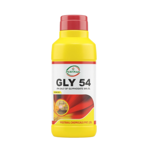 GLY 54